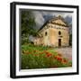 Ancient church ruin surrounded by bright reed poppies. Montalcino. Tuscany, Italy.-Tom Norring-Framed Photographic Print