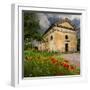 Ancient church ruin surrounded by bright reed poppies. Montalcino. Tuscany, Italy.-Tom Norring-Framed Photographic Print