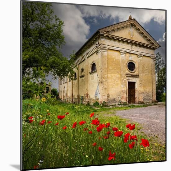 Ancient church ruin surrounded by bright reed poppies. Montalcino. Tuscany, Italy.-Tom Norring-Mounted Photographic Print