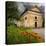 Ancient church ruin surrounded by bright reed poppies. Montalcino. Tuscany, Italy.-Tom Norring-Stretched Canvas