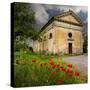 Ancient church ruin surrounded by bright reed poppies. Montalcino. Tuscany, Italy.-Tom Norring-Stretched Canvas