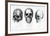 Ancient Cimbrian, Esthonian Finn, Lappe, 1848-null-Framed Giclee Print