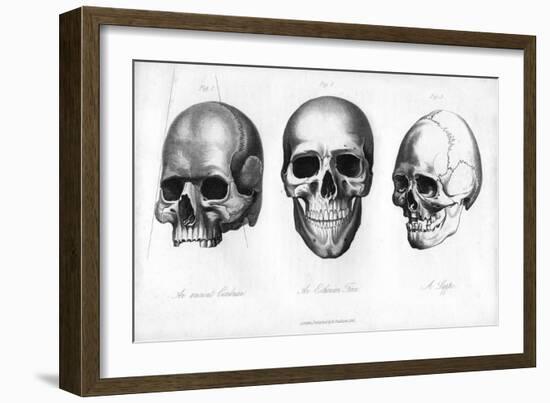 Ancient Cimbrian, Esthonian Finn, Lappe, 1848-null-Framed Giclee Print