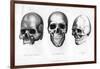 Ancient Cimbrian, Esthonian Finn, Lappe, 1848-null-Framed Giclee Print