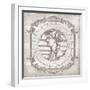 Ancient Coin II-School of Padua-Framed Giclee Print