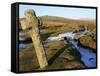 Ancient Cross in Winter, Whitchurch Common, Dartmoor National Park, Devon, England, United Kingdom,-Peter Groenendijk-Framed Stretched Canvas