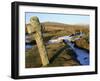 Ancient Cross in Winter, Whitchurch Common, Dartmoor National Park, Devon, England, United Kingdom,-Peter Groenendijk-Framed Photographic Print