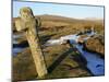 Ancient Cross in Winter, Whitchurch Common, Dartmoor National Park, Devon, England, United Kingdom,-Peter Groenendijk-Mounted Photographic Print