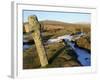Ancient Cross in Winter, Whitchurch Common, Dartmoor National Park, Devon, England, United Kingdom,-Peter Groenendijk-Framed Photographic Print