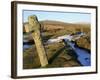 Ancient Cross in Winter, Whitchurch Common, Dartmoor National Park, Devon, England, United Kingdom,-Peter Groenendijk-Framed Photographic Print