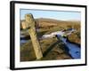 Ancient Cross in Winter, Whitchurch Common, Dartmoor National Park, Devon, England, United Kingdom,-Peter Groenendijk-Framed Photographic Print