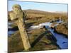 Ancient Cross in Winter, Whitchurch Common, Dartmoor National Park, Devon, England, United Kingdom,-Peter Groenendijk-Mounted Photographic Print