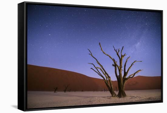 Ancient Dead Camelthorn Trees (Vachellia Erioloba) at Night with Red Dunes Behind-Wim van den Heever-Framed Stretched Canvas