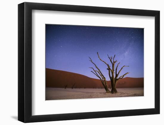 Ancient Dead Camelthorn Trees (Vachellia Erioloba) at Night with Red Dunes Behind-Wim van den Heever-Framed Photographic Print