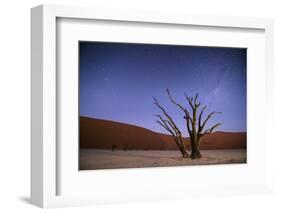 Ancient Dead Camelthorn Trees (Vachellia Erioloba) at Night with Red Dunes Behind-Wim van den Heever-Framed Photographic Print