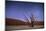 Ancient Dead Camelthorn Trees (Vachellia Erioloba) at Night with Red Dunes Behind-Wim van den Heever-Mounted Photographic Print