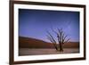 Ancient Dead Camelthorn Trees (Vachellia Erioloba) at Night with Red Dunes Behind-Wim van den Heever-Framed Photographic Print