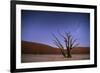 Ancient Dead Camelthorn Trees (Vachellia Erioloba) at Night with Red Dunes Behind-Wim van den Heever-Framed Photographic Print