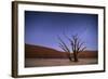 Ancient Dead Camelthorn Trees (Vachellia Erioloba) at Night with Red Dunes Behind-Wim van den Heever-Framed Photographic Print
