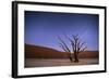 Ancient Dead Camelthorn Trees (Vachellia Erioloba) at Night with Red Dunes Behind-Wim van den Heever-Framed Photographic Print