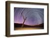 Ancient Dead Camelthorn Trees (Vachellia Erioloba) with Red Dunes-Wim van den Heever-Framed Photographic Print