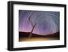 Ancient Dead Camelthorn Trees (Vachellia Erioloba) with Red Dunes-Wim van den Heever-Framed Photographic Print