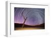 Ancient Dead Camelthorn Trees (Vachellia Erioloba) with Red Dunes-Wim van den Heever-Framed Photographic Print