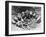 Ancient Dinosaur Egg Nest Discovery-null-Framed Photographic Print