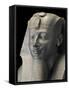 Ancient Egypt Museum, Close-Up of King Thutmosi III Statue from Temple of Amun at Karnak-null-Framed Stretched Canvas