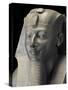 Ancient Egypt Museum, Close-Up of King Thutmosi III Statue from Temple of Amun at Karnak-null-Stretched Canvas