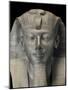 Ancient Egypt Museum, Close-Up of King Thutmosi III Statue from Temple of Amun at Karnak-null-Mounted Giclee Print