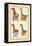 Ancient Egyptian Chairs-J. Gardner Wilkinson-Framed Stretched Canvas