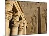 Ancient Egyptian hieroglyphics at ruins in Aswan-Franz-Marc Frei-Mounted Photographic Print