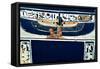 Ancient Egyptian Hieroglyphs, Thebes, Egypt-null-Framed Stretched Canvas