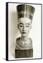 Ancient Egyptian, Nefertiti-Science Source-Framed Stretched Canvas