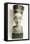 Ancient Egyptian, Nefertiti-Science Source-Framed Stretched Canvas