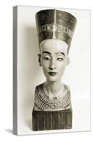 Ancient Egyptian, Nefertiti-Science Source-Stretched Canvas