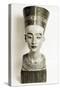 Ancient Egyptian, Nefertiti-Science Source-Stretched Canvas