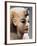 Ancient Egyptian Painted Alabaster Head from Treasure of Tutankhamen-null-Framed Giclee Print
