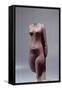 Ancient Egyptian Torso of Queen Nefertit-null-Framed Stretched Canvas