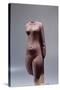 Ancient Egyptian Torso of Queen Nefertit-null-Stretched Canvas