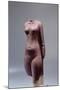 Ancient Egyptian Torso of Queen Nefertit-null-Mounted Photographic Print