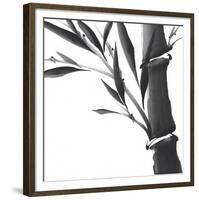 Ancient Essence II-Katsumi Sugita-Framed Giclee Print