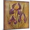 Ancient Floral I-Dysart-Mounted Giclee Print