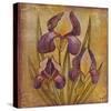Ancient Floral I-Dysart-Stretched Canvas