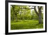 Ancient Flowery Wood Pasture-null-Framed Photographic Print