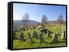 Ancient Gorsedd Stones, Pontypridd, Rhondda, South Wales, Wales, United Kingdom, Europe-Billy Stock-Framed Stretched Canvas