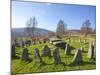 Ancient Gorsedd Stones, Pontypridd, Rhondda, South Wales, Wales, United Kingdom, Europe-Billy Stock-Mounted Photographic Print