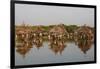 Ancient granaries on an island among mangrove trees, Joal-Fadiouth, Senegal, West Africa, Africa-Godong-Framed Photographic Print