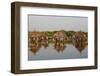 Ancient granaries on an island among mangrove trees, Joal-Fadiouth, Senegal, West Africa, Africa-Godong-Framed Photographic Print